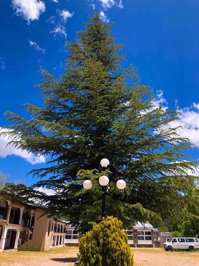 Hotel Cascada Inn Creel Zewnętrze zdjęcie